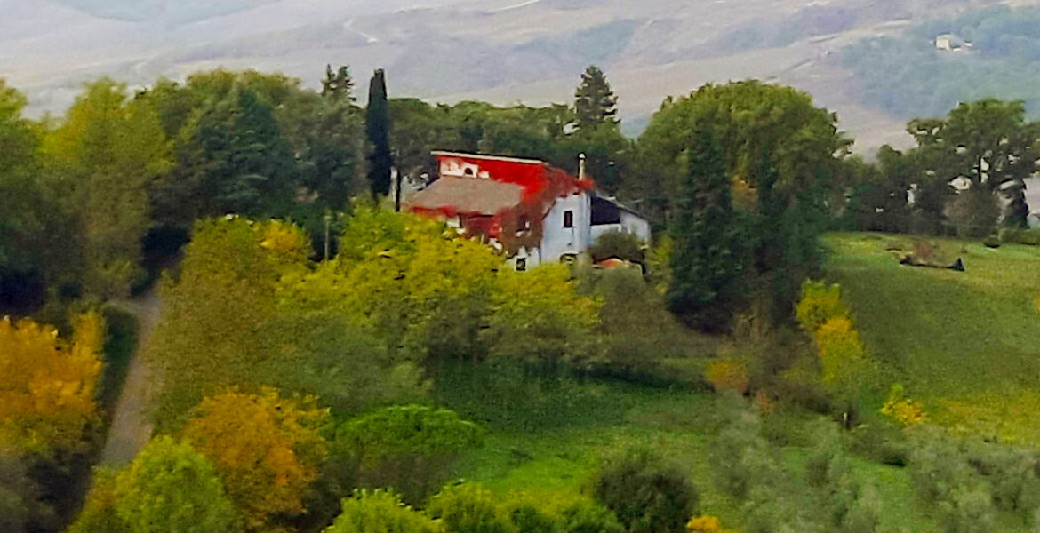 La Casa di Cesarina